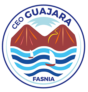 logo ceo guajara